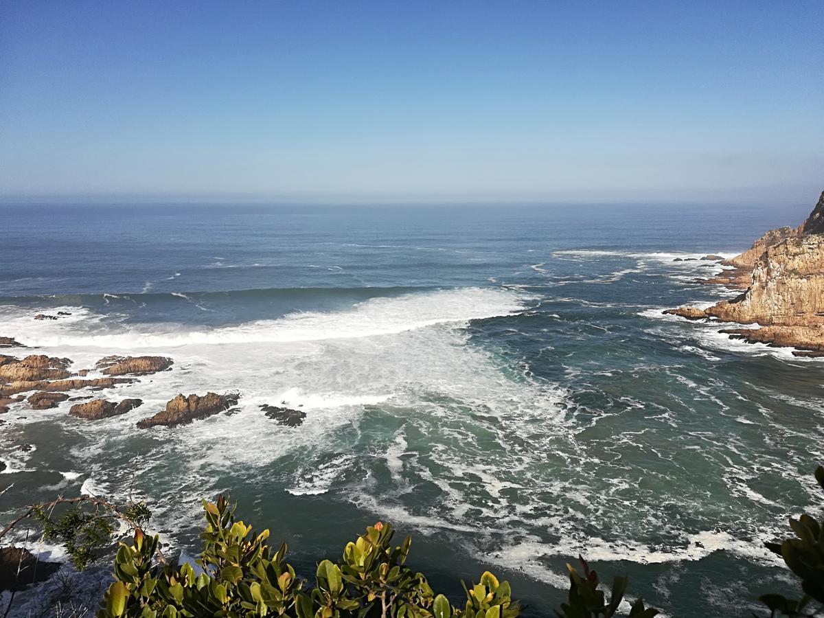 Knysna Herons Guest House ภายนอก รูปภาพ