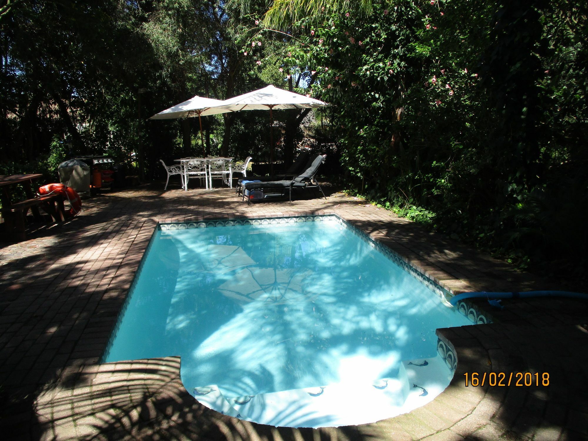 Knysna Herons Guest House ภายนอก รูปภาพ